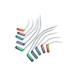 10-piece rainbow-shaped paintless dent repair rod set with double-bend sharp tips by Auto Equipment International.