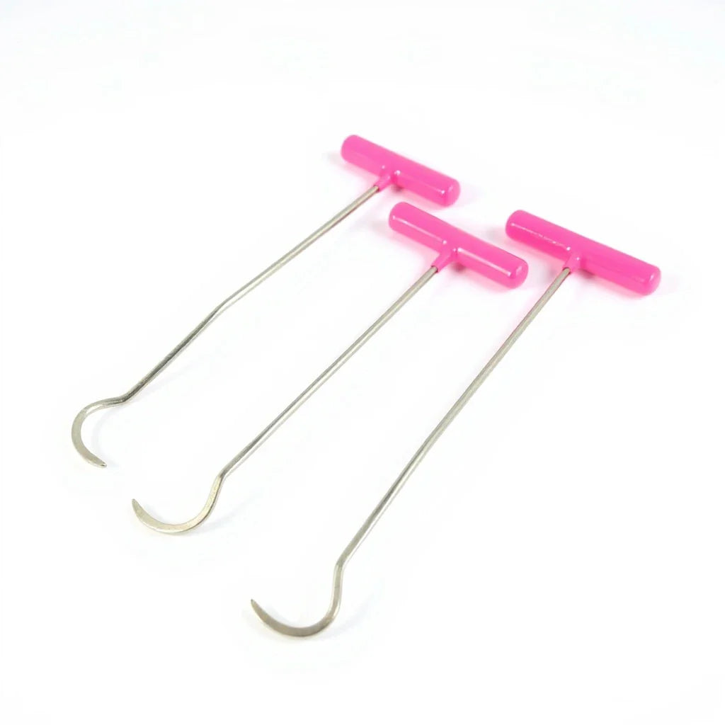 10-piece curved rod set by Auto Equipment International, showcasing various PDR tools in a well-organized display.